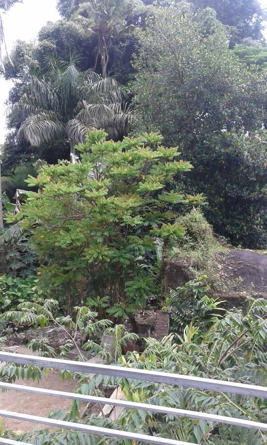 Madu Sentana House Hotel Ubud Buitenkant foto